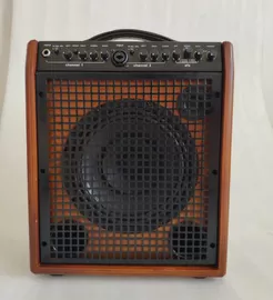 China 8&quot; Dual Twin Channels AERs Style Acoustic Guitar Amplifier 60W supplier