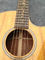 Free shipping import Tay k240 acoustic guitar with fishman101 EQ nature color supplier