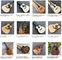 All Real Abalone D style acoustic guitar,Ebony fingerboard OEM custom 41 inches Solid spruce top Guitar Free shipping supplier