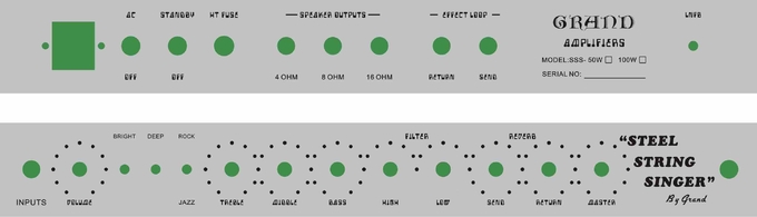 Updated Deluxe Handwired Dumble Tone Style Steel String Singer SSS Guitar Amplifier 100W with Preamp Fet, Fet Gain, Pres