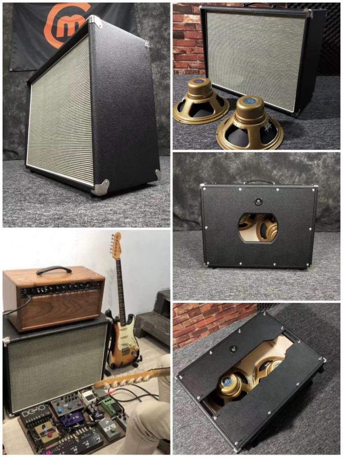 Custom Grand Guitar Bass Amplifier Speaker with Kinds Tolex and