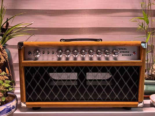 China Custom Dumble CLONE Steel String Singer Head 20W 50W 100W with Suede Brown Color, Grand Amplifier SSS Model supplier