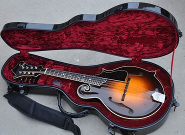 China Handmade custom advanced 8 strings QT-F5 mandolin electric guitar with ebony fretboard supplier