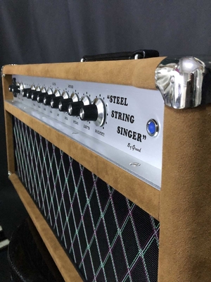 Custom Grand Tube Guitar Amp Head 100W Dumble Clone SSS Steel String Singer Valve Amplifier Series supplier