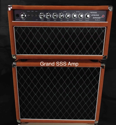 Custom Dumble Style SSS20+112 with Celestion V30 or G12-65 Speaker Red Suede or Purple both Available Accept Amp OEM supplier