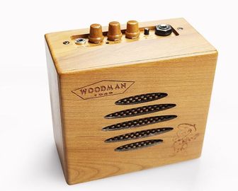 Acoustic Guitar Amplifier 10W Solid Wood suitable for Ukulele, Acoustic Guitar, etc with input and out out jack supplier