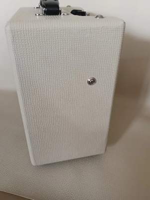 Fender Copy Vintage 1958 Princeton 5F2-A 1×8″ /10" Guitar Amplifier Tube Combo White Cover, Accept Guitar Amp OEM supplier