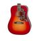 2018 New 12 strings Chibson H-Bird acoustic 12-String H-Bird electric acoustic guitar 12 strings acoustic guitar supplier