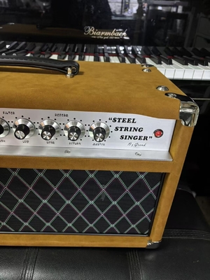 Dumble #002 Version SSS20-Amplifier Steel String Singer SSS 20Watt from Grand, Customized Amp OEM supplier