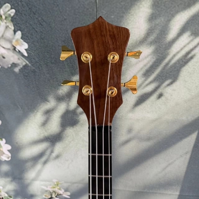 Custom Alembic Style Neck Through Body 4 Strings Electric Bass supplier