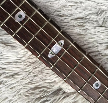 Custom 4 Strings Neck Through Body Alembic Style Electric Bass Guitar Tree Burl Top supplier