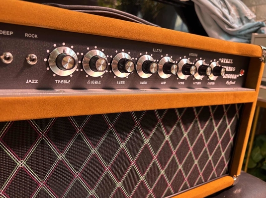 2024 HOT!!! Dumble #002 Version Clone SSS20-Steel String Singer SSS Tube Amp Head 20Watt in Suede Brown with Original Knobs supplier