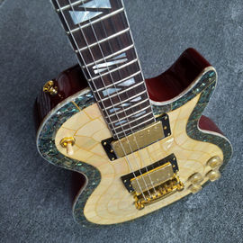 New arrival shell electric guitar with 6 strings guitar and gold pickups supplier