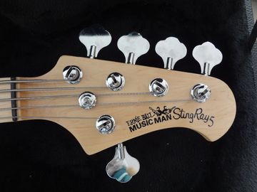 5 string bass guitar Erine ball sting ray 5 Gray quilted maple body maple neck and fingerboard supplier