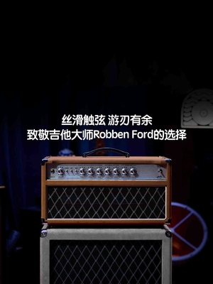 Custom Dumble Clone 2025 Overdrive Reverb 50-Watt Hand-Wired Tube Head-Suede Blue JJ Tubes 50W supplier