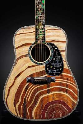 Martin D-300 Limited-Edition Dreadnought Acoustic Guitar supplier