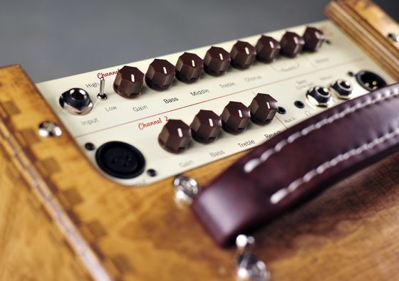Rolands AC-60s Clone Ss Acoustic Amplifier with Natural Birch Enclosure supplier