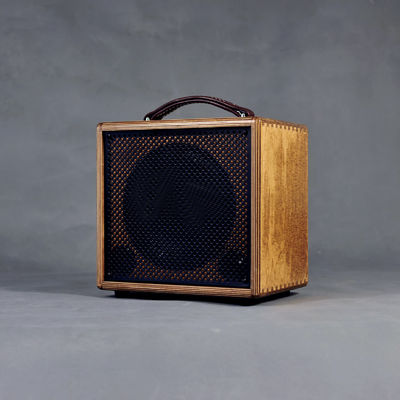 Rolands AC-60s Clone Ss Acoustic Amplifier with Natural Birch Enclosure supplier