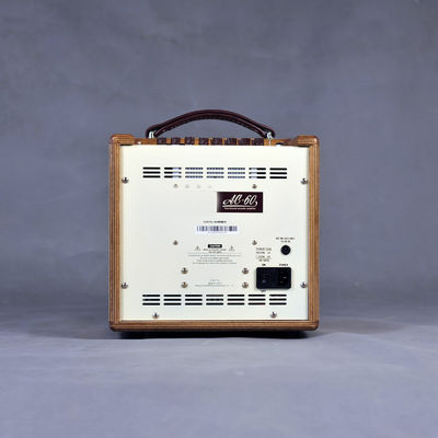 Rolands AC-60s Clone Ss Acoustic Amplifier with Natural Birch Enclosure supplier