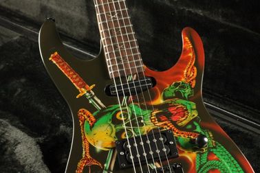 Hot popular skull inlay skull snake body top quality floydrose tremolo Electric guitar Guitarra black hardware electric supplier