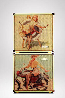 Kinds STYLE GUITAR CABINET AMPLIFIER Guitar Speaker Accept Any Custom Amp Cabinet supplier