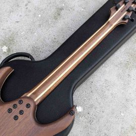 Factory Ebony Fingerboard Solid Wood Black Burst Maple Top 6 Strings Electric Guitar supplier