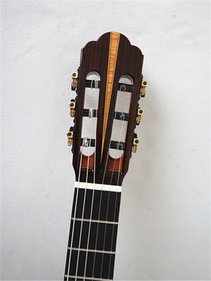 China Yulong Guo Double Top Guitar Master Concert Models with Ziricote Back and Side supplier