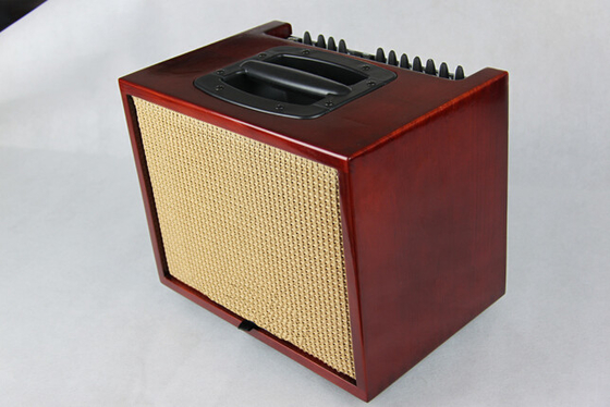 Chinese Guitar AMP Factory Professional Grand Style Acoustic Guitar Amplifier, 60W supplier