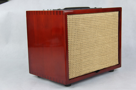 Chinese Guitar AMP Factory Professional Grand Style Acoustic Guitar Amplifier, 60W supplier