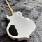 Custom Zakk Wylde Audio in Kinds Color Electric Guitar with Bound Ebony Fretboard Block Inlays supplier